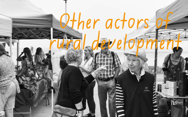 Other actors of rural development