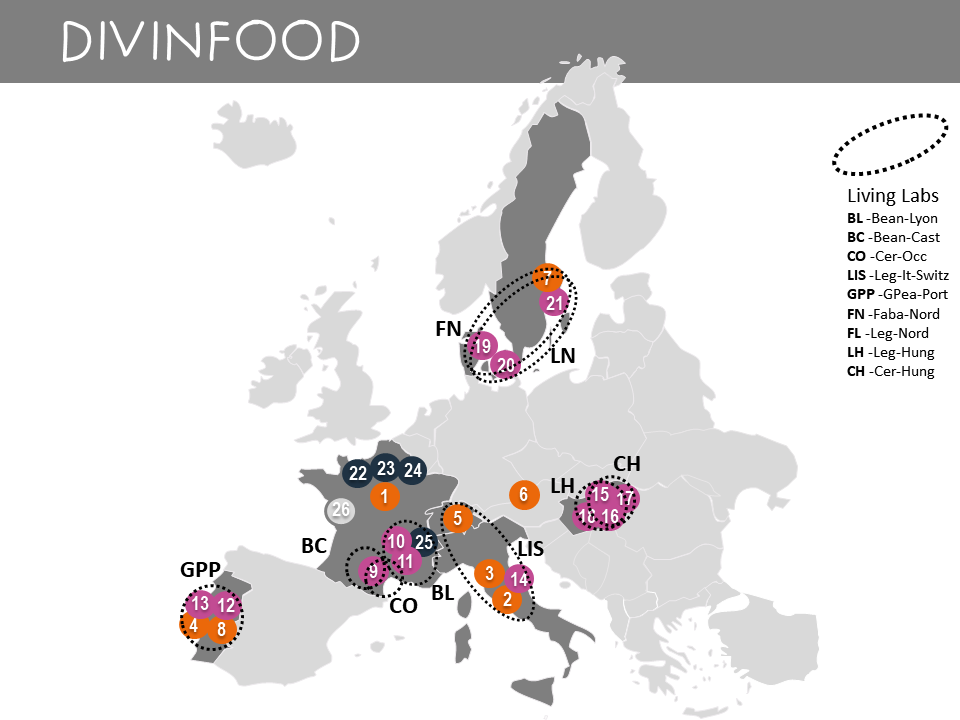 Map-Europe-DIVINFOOD_Dec_2022 just geography